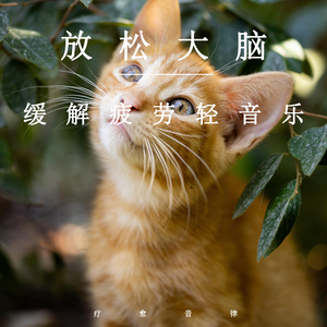 强烈婬药h多p拳交
