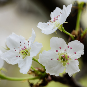 强烈婬药h多p拳交
